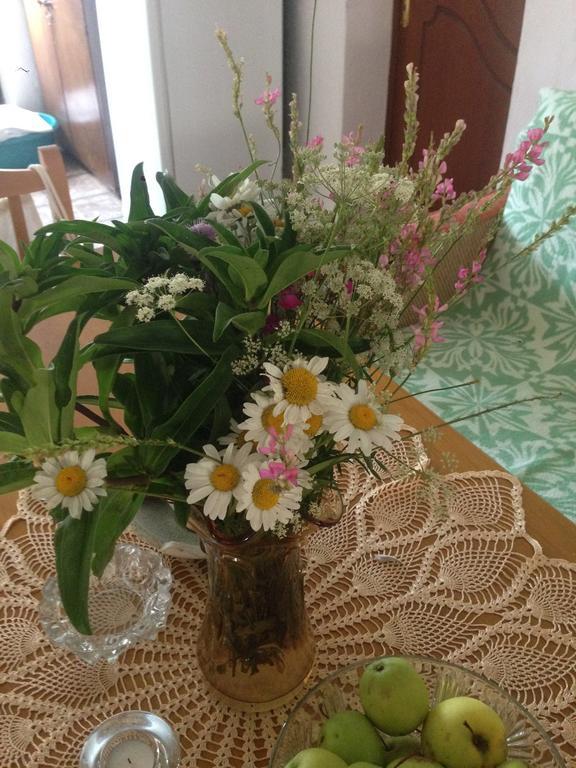 Eco Garten